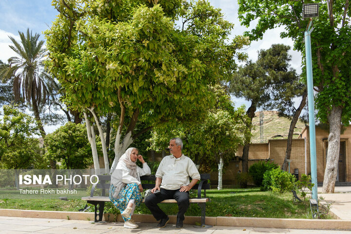 یک متخصص طب ایرانی: عطسه و کهیر در بهار؛ نشانه پاکسازی بدن است