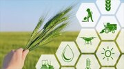 فناوری‌های دانش‌بنیان به مزارع قم می‌روند