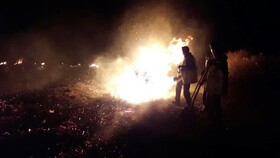 مهار آتش در هامون صابوری سیستان