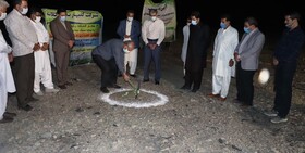 احداث نخستین گلخانه محصولات گرمسیری در نیک‌شهر آغاز شد