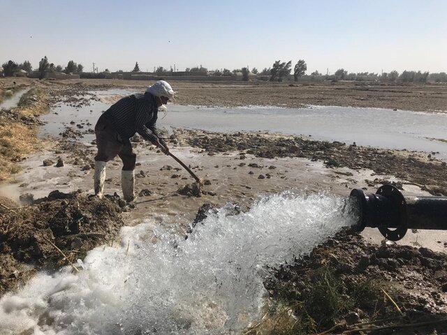 آغاز رهاسازی مرحله دوم آب به طرح ۴۶ هزار هکتاری دشت سیستان 