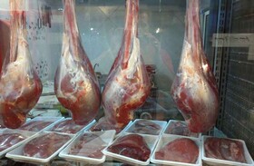 تولید حدود ۲۰۰ تن گوشت شتر در خوزستان