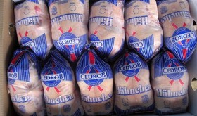 توزیع بیش از ۳۹۰ تن گوشت مرغ منجمد تنظیم بازار در سیستان وبلوچستان
