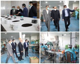 بازدید دبیر شورای‌عالی مناطق آزاد کشور از طرح‌های عمرانی چابهار
