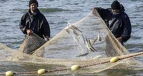 سیستان و بلوچستان تامین کننده ۸۰ درصد نیاز تور ماهیگیری کشور