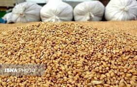 ظرفیت تولید خوراک دام آماده در سیستان و بلوچستان به بیش از ١۵٠ هزار تن رسید