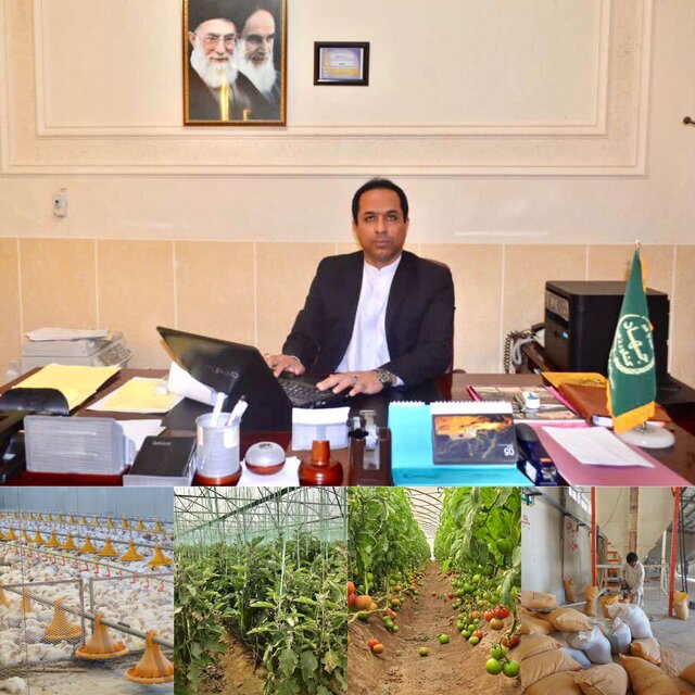سرمایه گذاری ٣١٠ میلیارد ریال بخش خصوصی برای توسعه کشاورزی خاش