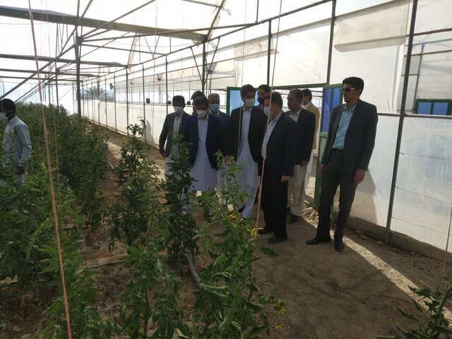 بازدید معاون استاندار از طرح های بخش کشاورزی سیب و سوران بازدید معاون استاندار از طرح های بخش کشاورزی سیب و سوران