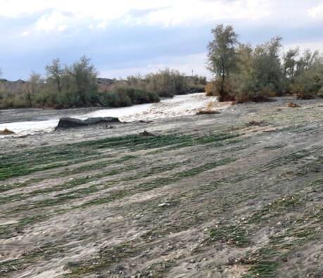 خسارت 250 میلیارد ریالی بارندگی‌های اخیر به بخش کشاورزی لاشار 