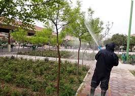 تاکید شهردار زاهدان بر مشارکت حداکثری مردم در حفظ و توسعه فضای سبز