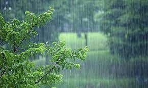 گزارش بارندگی از ۳۳ ایستگاه هواشناسی سیستان و بلوچستان