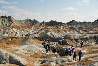 دستگاههای اجرایی آمادگی لازم را داشته باشند تا گردشگران سر در گم نشوند