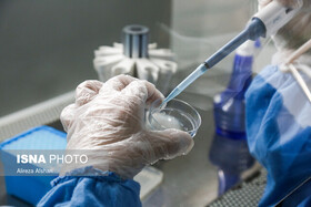 راه اندازی 10 شرکت دانش بنیان در سیستان و بلوچستان