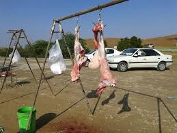 شایسته شهر زاهدان نیست که اجزا و امحای دام‌ها داخل مسیل‌ها باشد