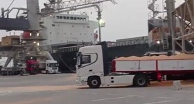 تداوم واردات نهاده های دامی از طریق بندر شهیدبهشتی چابهار