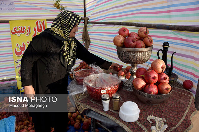 /گزارش تصویری/ جشنواره انار درجزین