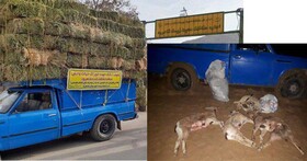 "پناهگاه خوش‌ییلاق" دو نگاه و دو نیسان آبی‌رنگ!