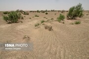 اجرای ۴۰۰۰ هکتار عملیات بیابان زدایی در استان سمنان