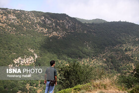 به جنگل ابر سفر نکنید/ روزانه 30 خودرو برگردانده می‌شود