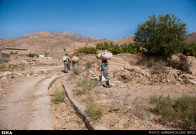 ماندگاری در روستا و تحقق مهاجرت معکوس مستلزم توجه به توسعه اقتصادی روستا