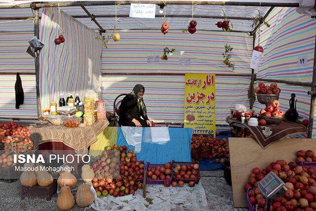 ۹ محصول سمنان در سال جهش تولید نشان استاندارد می‌گیرند/ افتتاح سیلوی شرق تهران تا اخر امسال