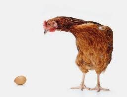 قیمت مرغ و تخم مرغ در استان/سمنان کمبود کالاهای اساسی ندارد