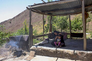 بیمه رایگان ۱۵۹۶ مادر دارای چند فرزند در صندوق بیمه اجتماعی روستاییان و عشایر استان سمنان