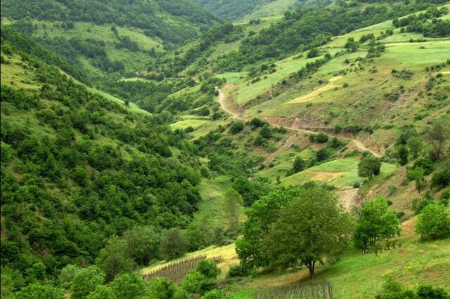 آغاز عملیات پوشش حفاظتی در ۵ میلیون هکتار از عرصه های طبیعی استان سمنان