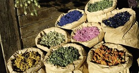 ضرورت وجود یک مرجع برای هدایت مردم در حوزه طب سنتی و گیاهان دارویی