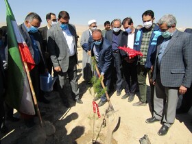 ایجاد پارک جنگلی20هکتاری در سرخه/ توزیع 1.5میلیون نهال مثمر و غیرمثمر در سمنان