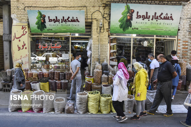 لزوم توسعه گردشگری کشاورزی در شهر نمونه گردشگری بین‌المللی شهمیرزاد