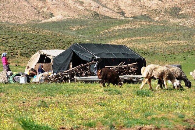 عشایر جامانده ثبت‌نام کنند