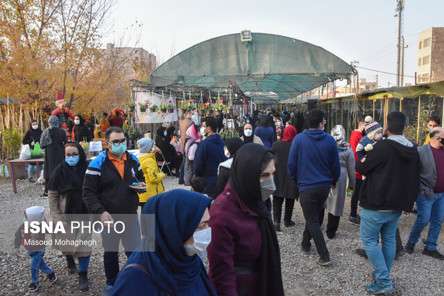 جشنواره گل نرگس سمنان