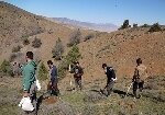 " یک‌درخت به یاد هر شهید" در ده‌صوفیان مهدیشهر