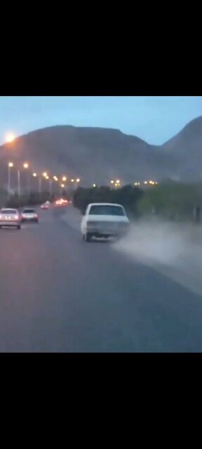 شناسایی و دستگیری حیوان آزار مهدیشهری