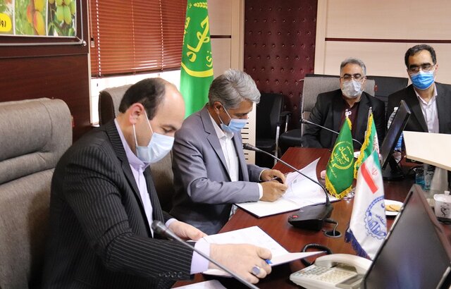 امضای تفاهمنامه طرح ملی"مطالعات قطب دامپروری مهدیشهر"/جانمایی 5 مجتمع دامپروری در فازهای بعدی