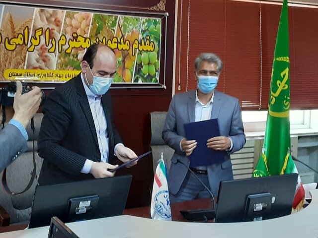 آغاز شمارش معکوس برای افتتاح ایستگاه اصلاح نژاد دام سنگسری