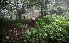 گزارش ایسنا از تازه‌ترین اقدامات در خصوص گم‌شدن مرموز دختر ۷ساله