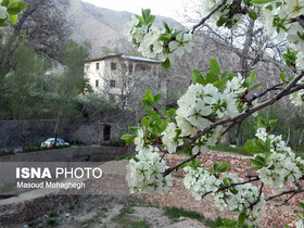 حفاظت از باغ‌های شهر نمونه گردشگری بین‌المللی با افزایش ۱۰ برابری جرائم