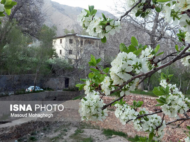 حفاظت از باغ‌های شهر نمونه گردشگری بین‌المللی با افزایش ۱۰ برابری جرائم 