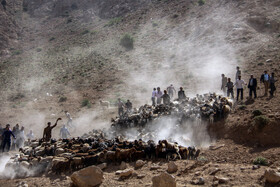 عبور گلههای بزرگ گوسفندان نژاد سنگسری در دامنه کوهها و مراتع سرسبز و مرتفع شهرستان مهدیشهر به نوعی جزئی از جاذبه های گردشگری این شهرستان است، تعداد گوسفندداران شهرستان مهدیشهر حدود ۱۵۶۰ نفر ( %۱۱ استان) با بیش از ۲۸۵ هزار راس گوسفند (%۲۲ استان) است.