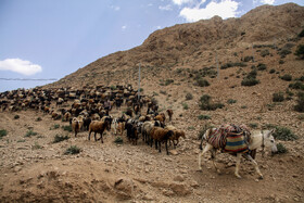 عشایر ایل سنگسری در مسیر کوچ خود به سمت ییلاق و قشلاق، دام های خود را در مسیری که ایل راه نام دارد عبور می دهند،  آنها طولانیترین مسیر کوچ جهان را طی میکنند بهطوریکه فاصله ی دورترین نقطه ییلاقی و قشلاقی آنان به بیش از ۱۵۰۰ کیلومتر میرسد.
