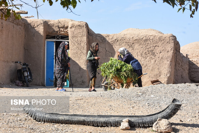 افتتاح ۲۳۷ مسکن روستایی در دشتستان و تنگستان