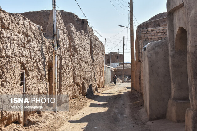 برداشت سنتی فلفل - روستاهای بخش بیارجمند شاهرود