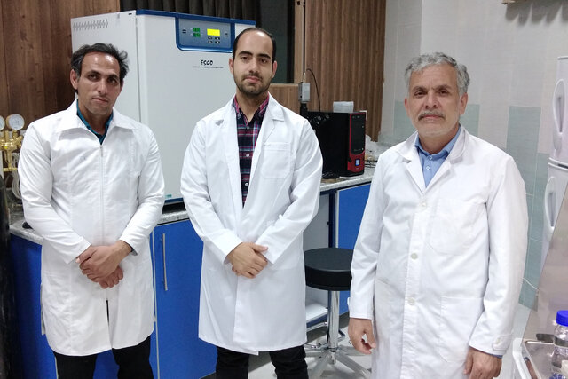 اجرای طرح پژوهشی ارزیابی خصوصیات تولید مثلی قوچ سنگسری در استان سمنان اجرای طرح پژوهشی ارزیابی خصوصیات تولید مثلی قوچ سنگسری در استان سمنان