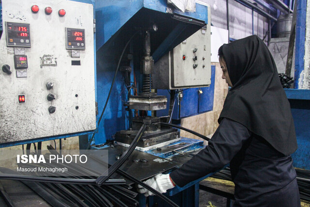 تکیه بر توان داخلی و دانش بومی رمز موفقیت ما بود/ کمبود آب مهمترین مشکل برای توسعه صنایع