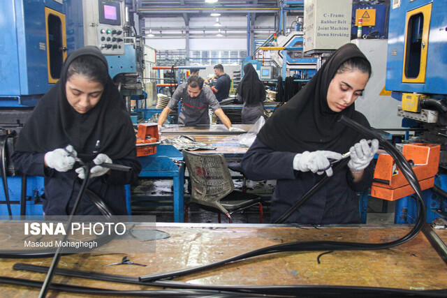 تکیه بر توان داخلی و دانش بومی رمز موفقیت ما بود/ کمبود آب مهمترین مشکل برای توسعه صنایع