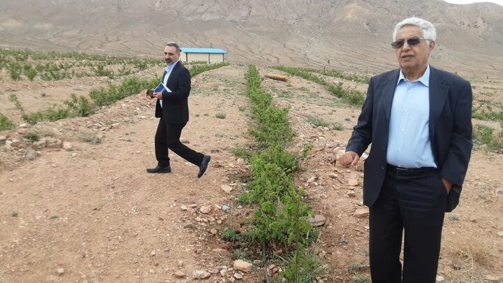 از سرریز مخازن آبی تا بارنشستن گلستان ۷ هکتاری در بزرگترین باغ گردوی جهان