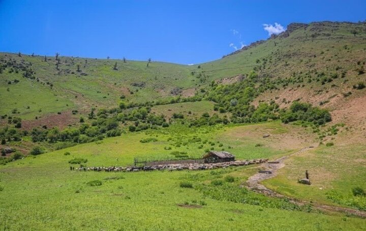 بهره‌برداری علمی تضمین‌کننده امنیت اقتصادی مرتعداران/ تقدیر از مرتعداران نمونه کشوری