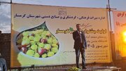 نخستین جشنواره گردشگری انجیر گرمسار برگزار شد